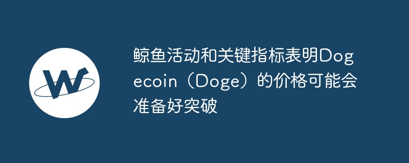 鲸鱼活动和关键指标表明dogecoin(doge)的价格可能会准备好突破